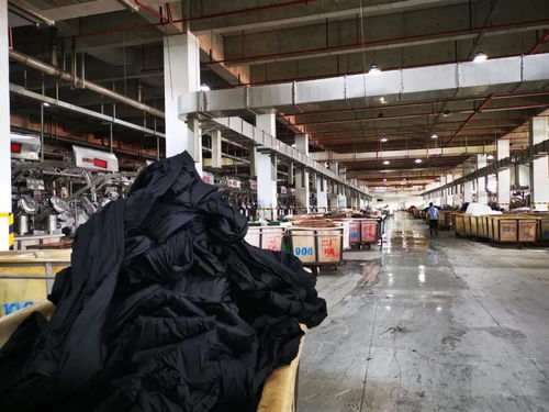 管中窥豹 从柯桥印染厂看纺织行业的复苏与布料新图景